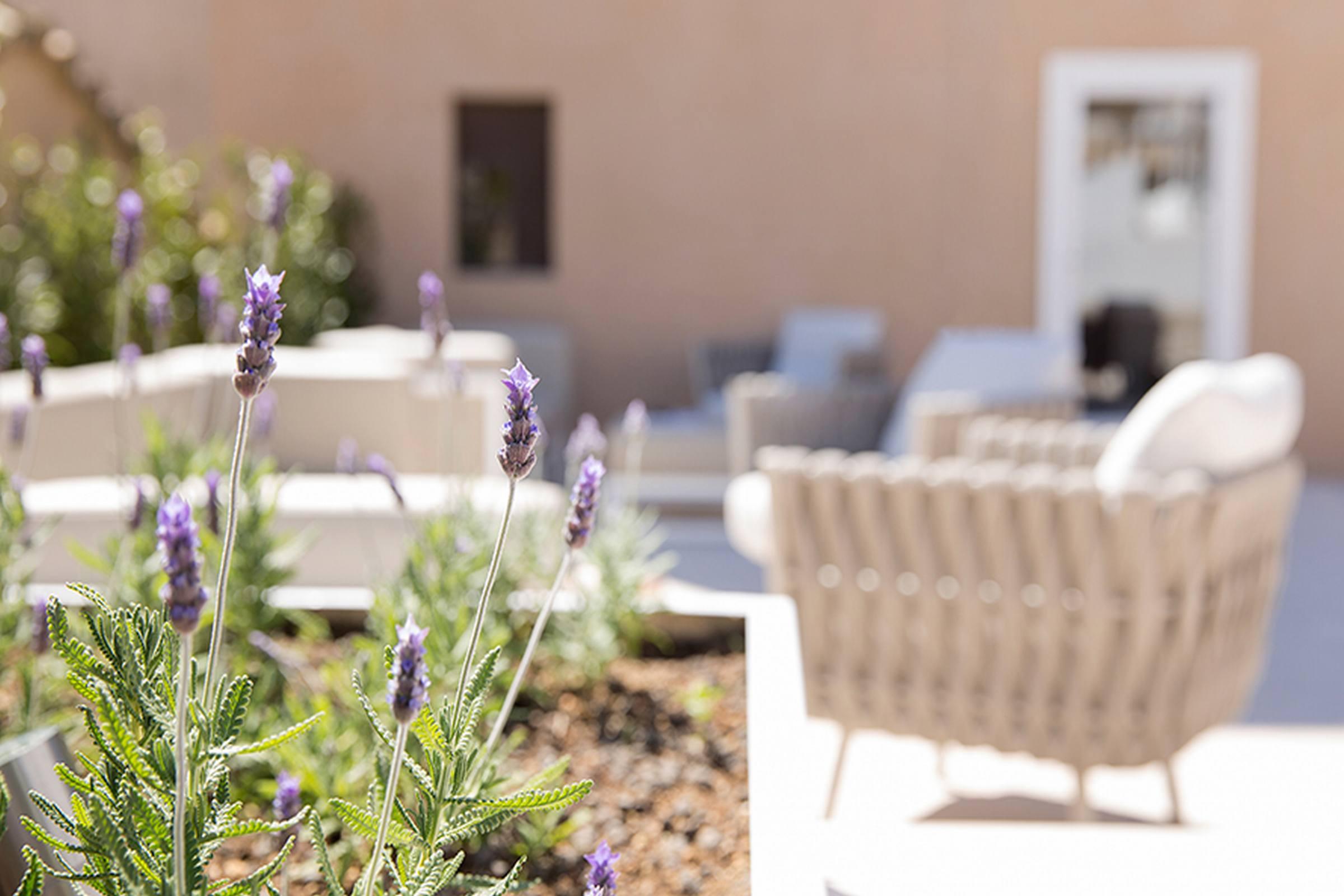 Convent De La Missio - Grand Luxury Boutique Hotel, Adults Only Palma de Maiorca Exterior foto